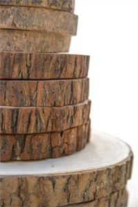 wood slices