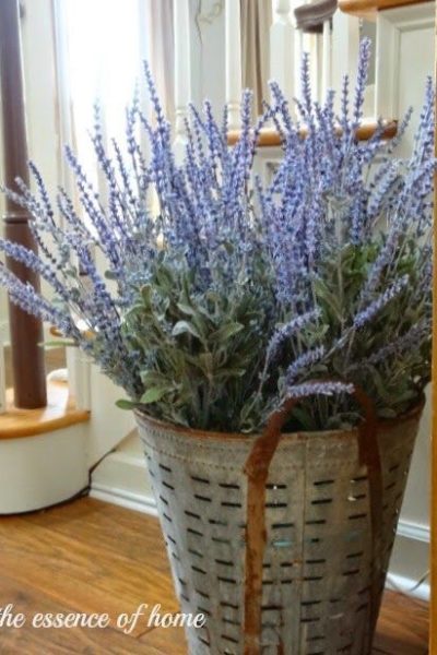 Olive Bucket