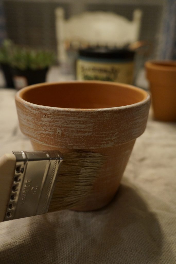 DIY Succulents in Painted Terracotta pots for under 15. Find out how I transformed these little