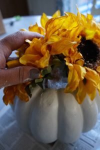 sunflower pumpkin