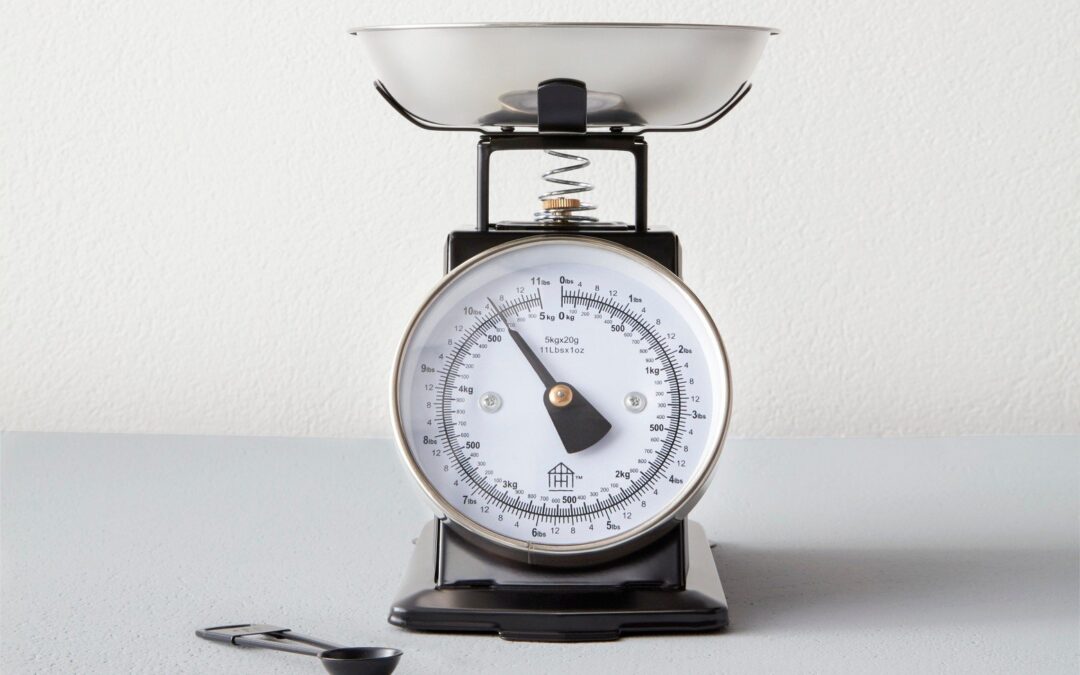 Target Hearth and Hand food scale by Joanna Gaines Wilshire