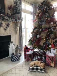 Christmas surprise puppy, our golden retriever under the christmas tree with buffalo check gifts