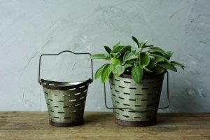 home decor finds, must have olive buckets