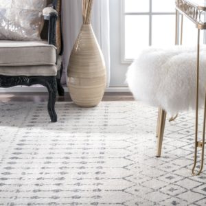 Amazon rug from my living room