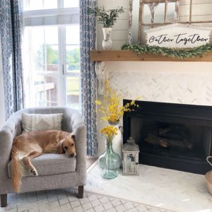 How to transition your decor from summer to Fall, Bailey the golden retriever puppy had to get in the pic!