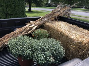 Fall front porch makeover, what I picked out from the nursery