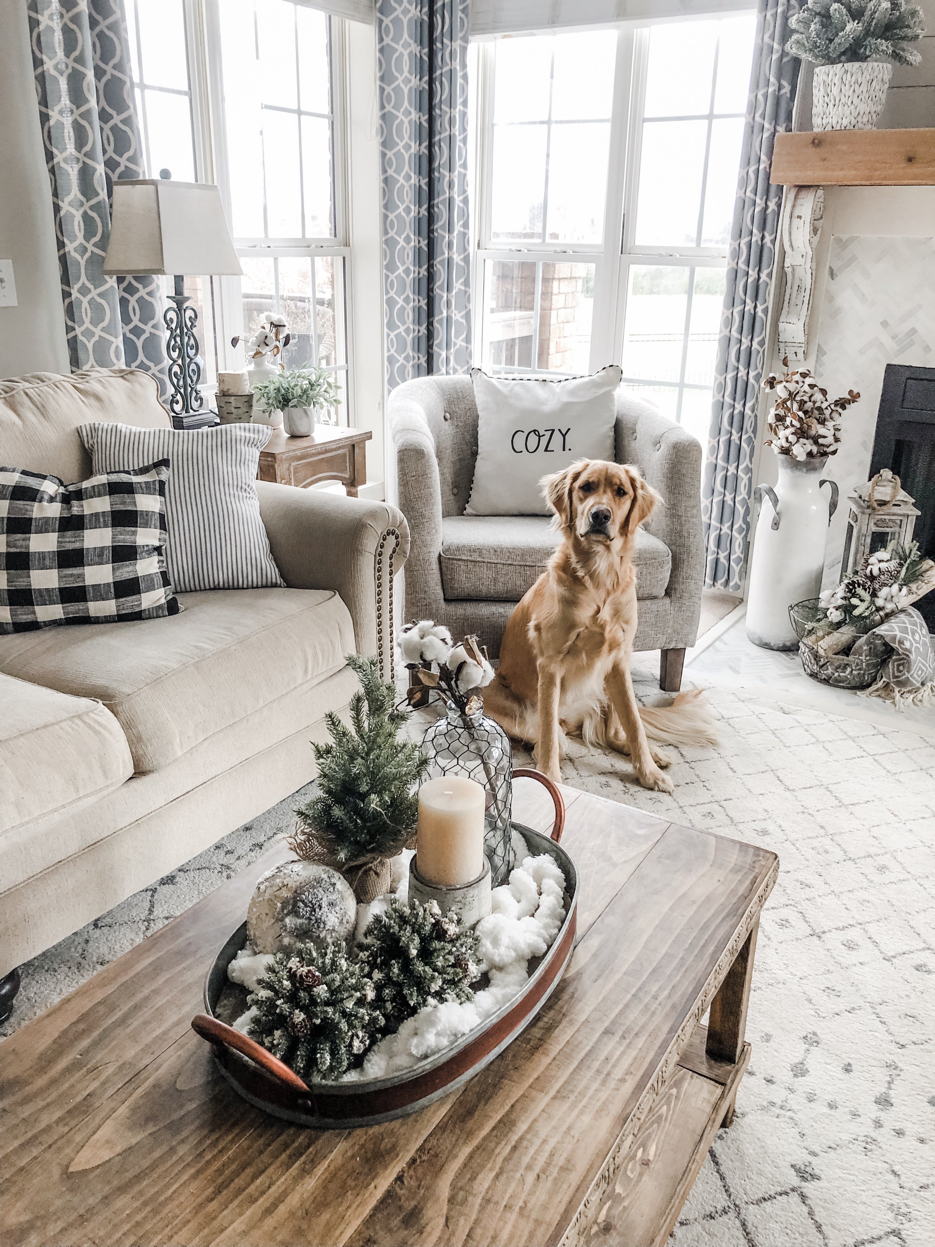 Cozy Winter Living Room decor with Bailey the golden retriever puppy