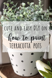 painted Terracot pots for a cute and easy DIY project
