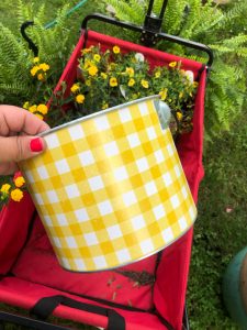 2 hacks to create easy outdoor planters, little buckets