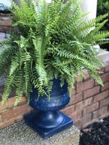 2 hacks to create easy outdoor planters, painted urn with blackberry house paint