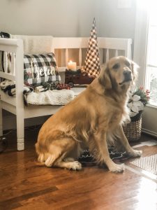 Christmas photo shoot with Old Time Pottery- behind the scenes!