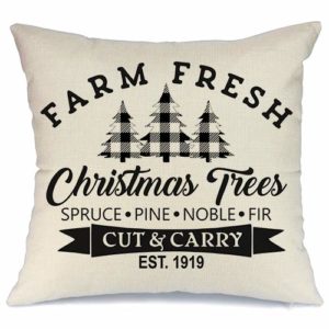 5 must have Amazon Christmas pillow covers