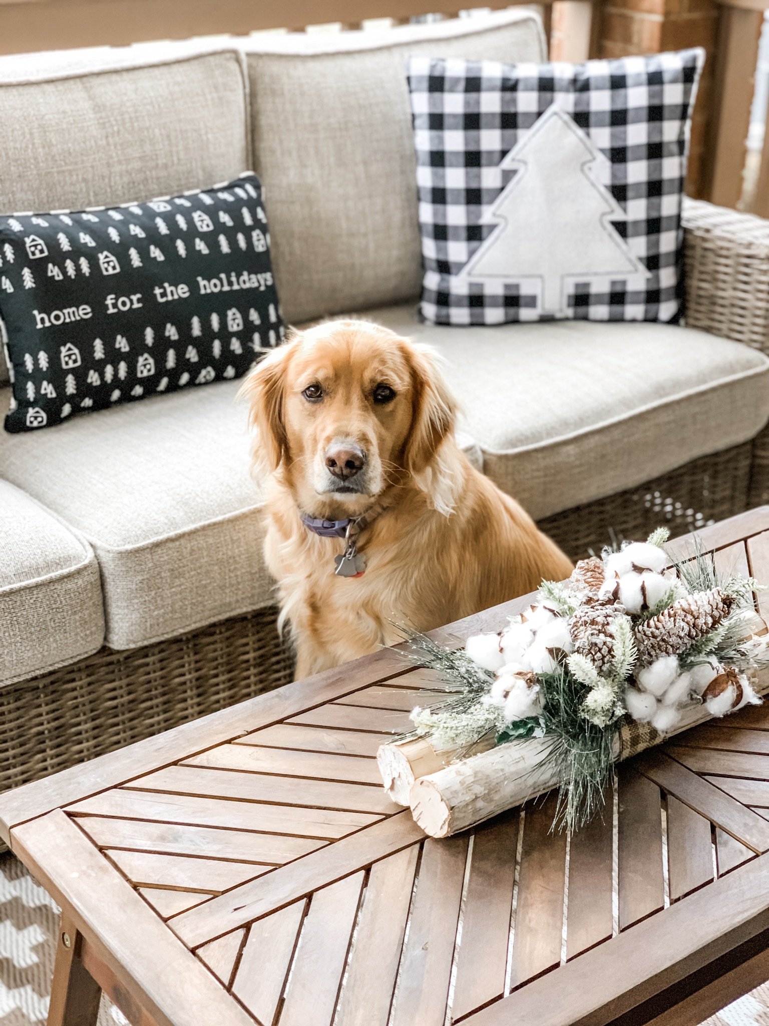 Neutral Christmas decor on the porch for warm and cozy vibes!