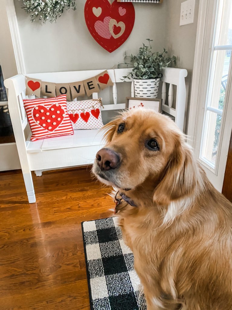 Valentine's decorating for under $40 in my entry way! 