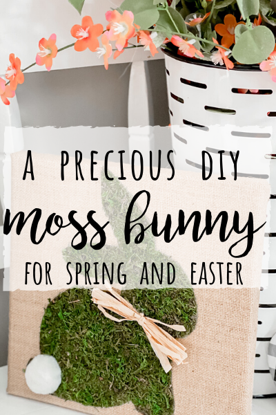 DIY Moss Bunny project