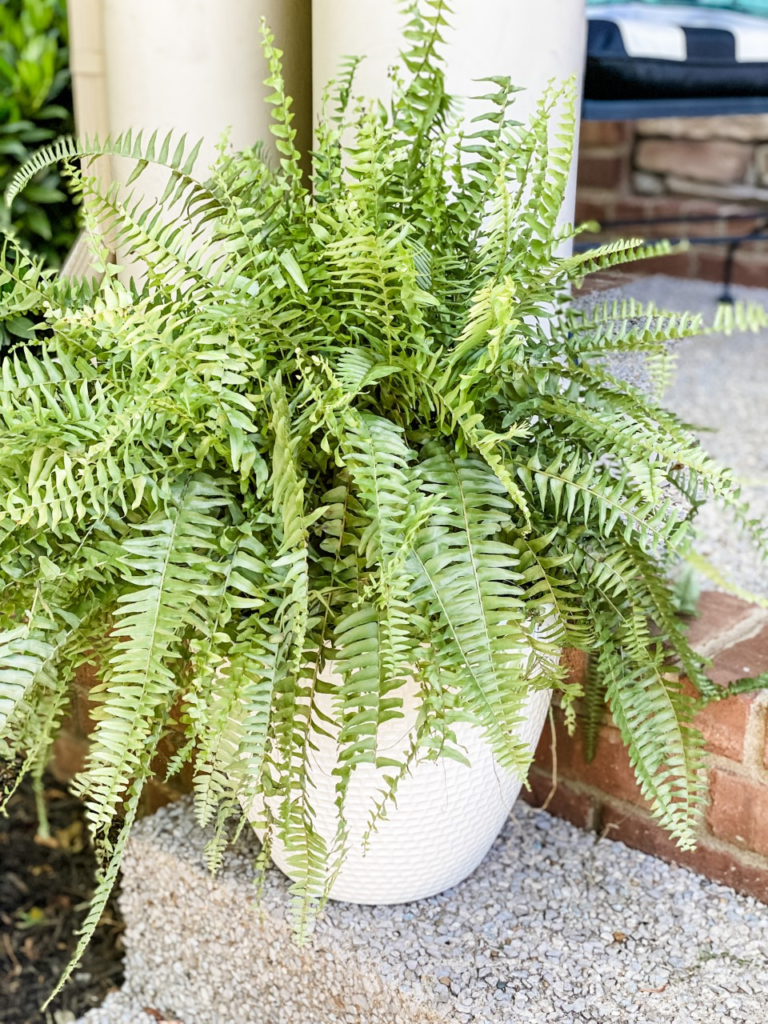 Front porch decor using lemons and buffalo check