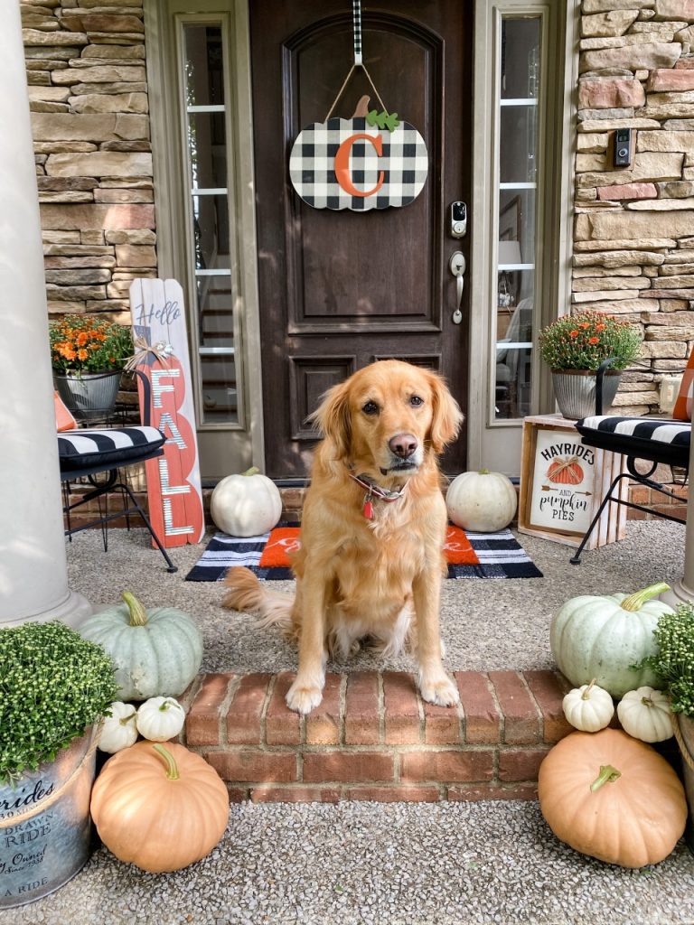 Easy Fall porch ideas