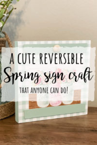 Reversible spring craft