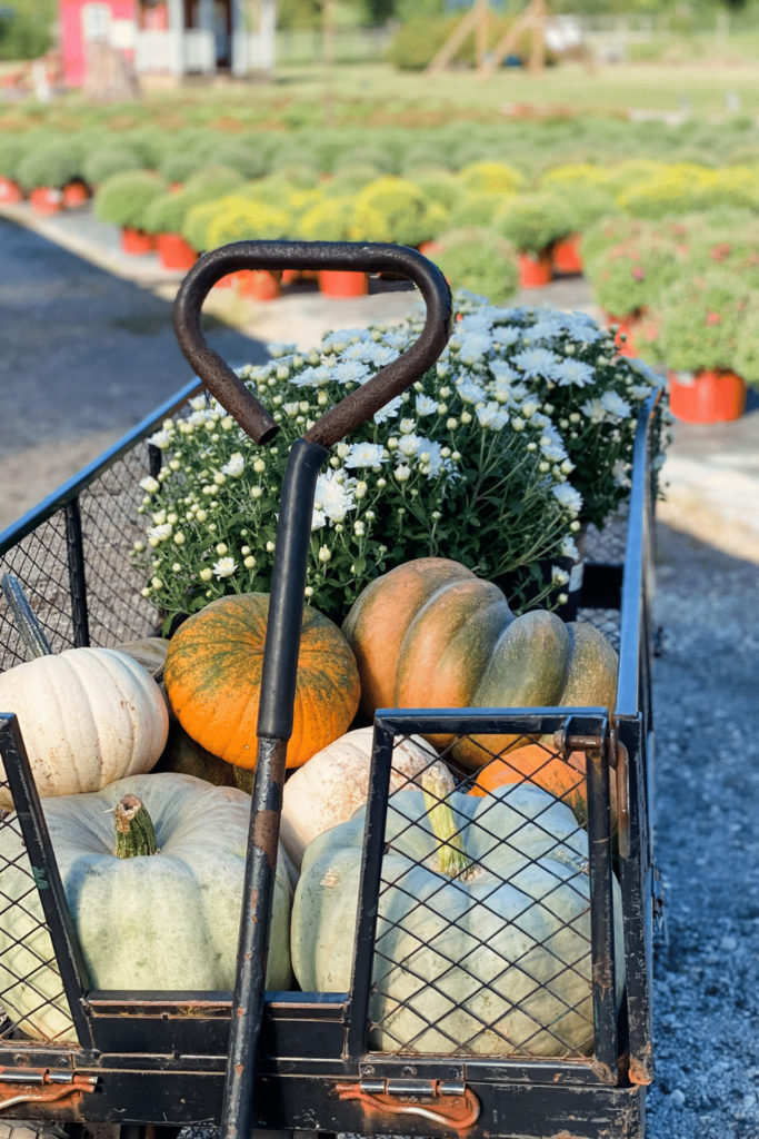 Fall porch ideas